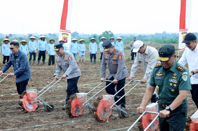 Kapolri Jenderal Pol Listyo Sigit Prabowo (tengah) membajak tanah dengan traktor tangan dalam acara peresmian program Penanaman Jagung Serentak 1 Juta Hektare di Desa Karang Mukti, Kecamatan Cipendeuy, Kabupaten Subang, Jawa Barat, Selasa (21/1/2025). (ANTARA/HO-Divisi Humas Polri)