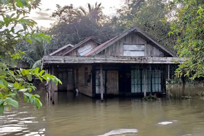 Banjir melanda rumah warga di Desa Palajau Kecamatan Pandawan Kabupaten Hulu Sungai Tengah (HST), Rabu (29/1/2025). (ANTARA/M Dayat)