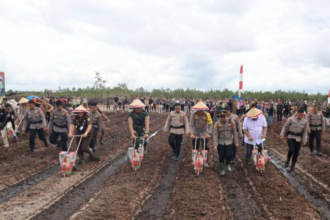 WAKAPOLDA Kalteng Brigjen Pol Rakhmad Setyadi (kedua kanan) mengenakan topi caping melakukan penanaman jagung sama forkopimda di Palangka Raya, Selasa (21/1/2025). (ANTARA/HO-Humas Polda Kalteng)