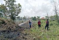 Personel BPBD Kotim memadamkan karhutla di Jalan Bumi Ayu Barat, Sampit, Rabu (12/2/2025). (ANTARA/HO-BPBD Kotim)