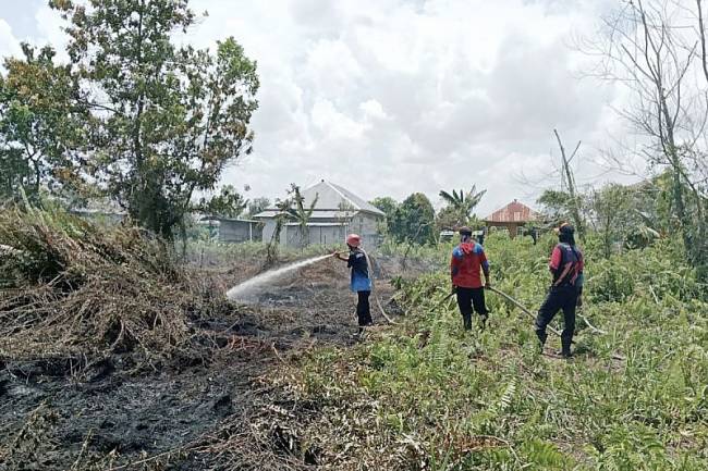 Personel BPBD Kotim memadamkan karhutla di Jalan Bumi Ayu Barat, Sampit, Rabu (12/2/2025). (ANTARA/HO-BPBD Kotim)