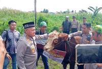 Kapolda Kalsel) , Irjen Pol Yudha Hermawan, menunjukkan kepeduliannya dengan menyumbangkan seekor sapi jantan jenis limosin simental berbobot sekitar 600 kilogram, Jumat (21/2/2025). (SuarIndonesia/Ist)