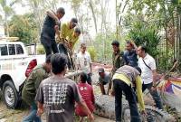 Tim Satgas Konflik Manusia dan Satwa Liar BKSDA Kalimantan Selatan mengevakuasi satwa dilindungi, yakni, buaya muara (Crocodylus porosus) (Foto: ANTARA-HO/BKSDA Kalsel)