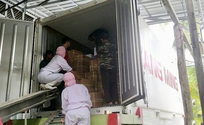 Petugas Karantina Kalsel saat memeriksa udang beku yang akan diekspor ke Jepang melalui Pelabuhan Trisakti di Banjarmasin, Kalimantan Selatan. (ANTARA/DokPri)