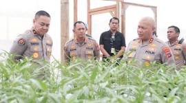 
Karo Penmas Divisi Humas Polri Brigjen Pol Trunoyudo Wisnu Andiko SIK melakukan kunjungan ke Green House yang terletak di Markas Komando (Mako) Polda Kalimantan Selatan (Kalsel), Banjarbaru, pada Minggu (9/2/2025). 