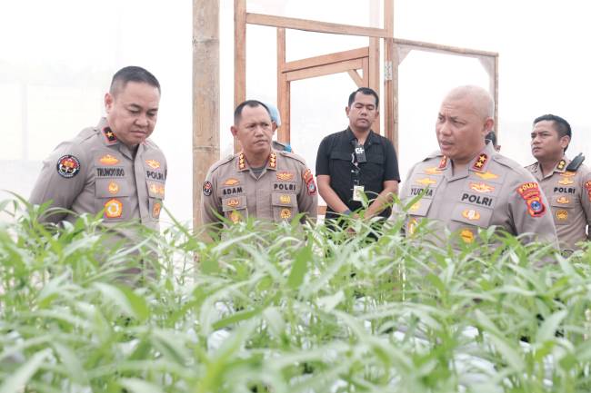 
Karo Penmas Divisi Humas Polri Brigjen Pol Trunoyudo Wisnu Andiko SIK melakukan kunjungan ke Green House yang terletak di Markas Komando (Mako) Polda Kalimantan Selatan (Kalsel), Banjarbaru, pada Minggu (9/2/2025). 