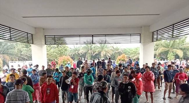 Ratusan karyawan PT WHS, Duta Palma Group Sambas melakukan aksi menuntut hak mereka yang tidak dipenuhi oleh pihak perusahaan. (ANTARA/HO-Link-Art Borneo)