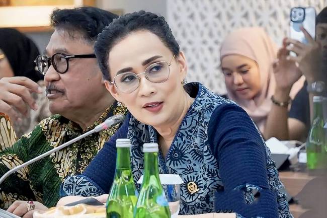 Anggota Komisi I DPR RI Amelia Anggraini di Kompleks Parlemen, Jakarta. (Foto: ANTARA/Bagus Ahmad Rizaldi)