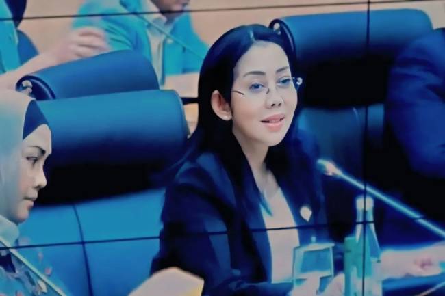 Anggota Komisi XII DPR RI Nurwayah. (Foto: ANTARA/Dokumentasi Pribadi)