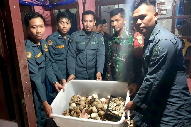 Petugas Gakkum Kemenhut memperlihatkan barang bukti perdagangan TSL dilindungi ketika mengamankan pelaku di Kabupaten Sukabumi, Jawa Barat, Selasa (18/3/2025). (Foto: ANTARA/HO-Kemenhut)