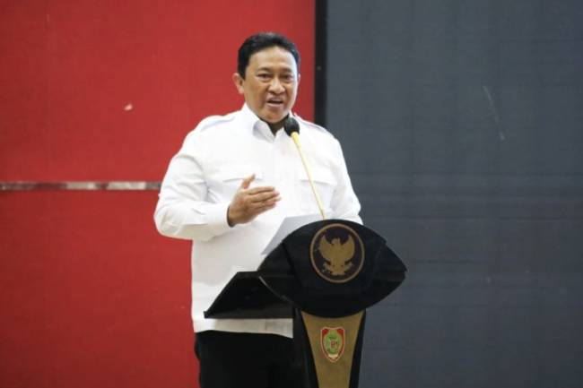 Wakil Gubernur Kalteng Edy Pratowo. (Foto: ANTARA/HO-Diskominfosantik Kalteng)