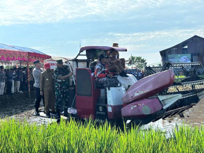 Pangdam VI/Mulawarman, Mayjen TNI Rudy Rachmat Nugraha panen raya dan tanam serentak di Kalimantan Selatan (Kalsel), Senin (7/4/2025) (SuaIndonesia/Ist)
