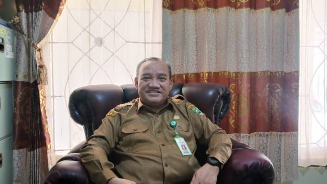 Pelaksana Tugas (Plt) Kepala Dinas Kesehatan Kabupaten Balangan, Ahmad Sauki. Foto: Mc. Balangan