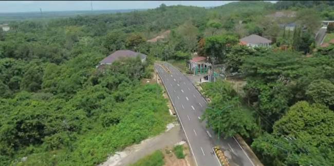 Jalan Gunung Pandau – Haur Batu dihiasi hamparan hijau pepohonan. - Foto: Mc.Balangan