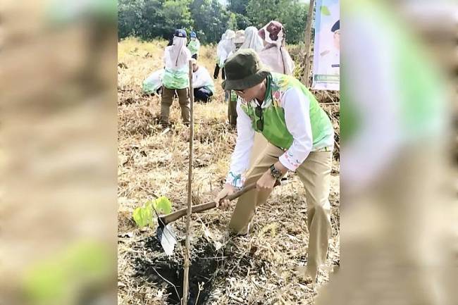 Pelaksana Tugas Kepala Dinas Lingkungan Hidup Kotawaringin Timur, Marjuki menanam pohon di Kebun Raya Sampit dalam rangka peringatan Hari Bumi, Selasa (22/4/2025). (Foto: ANTARA/Norjani)