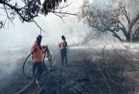 Petugas melakukan pemadaman kebakaran lahan di Palangka Raya. (Foto: Dok ANTARA/Rendhik Andika)