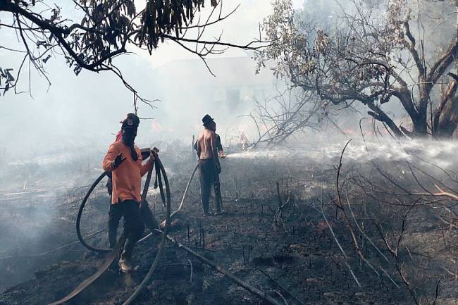 Petugas melakukan pemadaman kebakaran lahan di Palangka Raya. (Foto: Dok ANTARA/Rendhik Andika)