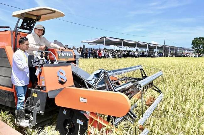 Presiden Prabowo Subianto memanen padi menggunakan combine harvester pada Panen Raya Nasional di Desa Randegan Wetan, Majalengka, Jawa Barat, Senin (7/4/2025). (Foto: ANTARA/HO-Biro Pers Setpres)