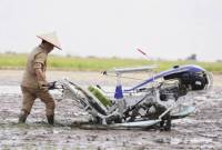 Gubernur Kalimatan Tengah Agustiar Sabran mengikuti Gerakan Tanam Padi secara serentak di 14 provinsi sentra utama padi melalui konferensi video dengan Presiden Prabowo Subianto dan Menteri Pertanian Amran Sulaiman, dari Desa Lempuyang, Kecamatan Teluk Sampit, Kabupaten Kotawaringin Timur, Rabu (23/4/2025). (Foto: ANTARA/HO-Diskominfosantik Kalteng)