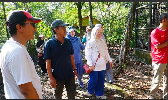WALI KOTA Yamin Instruksikan Perbaikan Fasilitas Kebun Binatang Jahri Saleh 