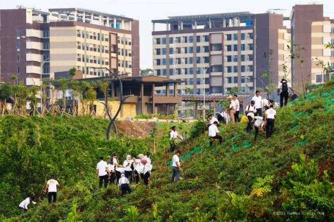 Suasana penanaman pohon di KIPP IKN, Selasa (6/5/2025). (Foto: ANTARA/HO-Humas OIKN)