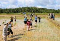 Komunitas Healing di IKN bersama warga IKN saat wisata edukasi menanam padi di Desa Bukit Raya, Sepaku, Kabupaten Penajam Paser Utara. (ANTARA/HO-Humas OIKN)