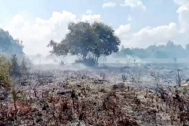 Kebakaran lahan yang belum lama ini terjadi di Kelurahan Raja Sebrang, Kabupaten Kobar, Jumat (9/5/2025). (Foto: ANTARA/HO-Dokumentasi Pribadi)