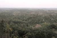 
Bentang alam di perbatasan Semoi-Sepaku-Bukit Bangkirai, Kalimantan Timur, yang masih memiliki hutan lebat. (Foto: ANTARA/Novi Abdi)