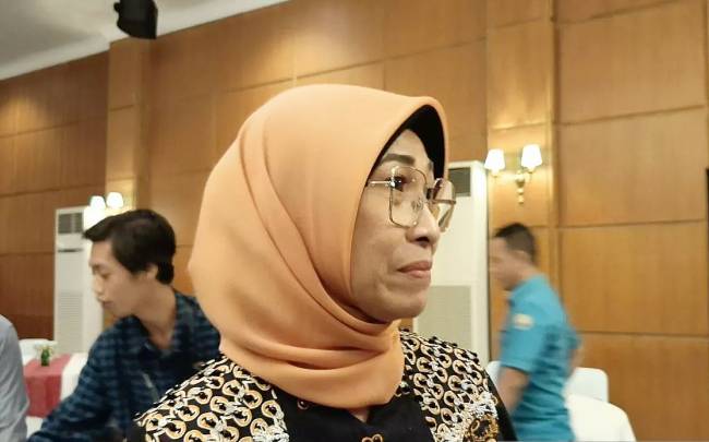 Hetifah Sjaifudian, Ketua Komisi X DPR RI. (Foto: ANTARA/A Rifandi)