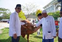 Sapi Limousin Bantuan Presiden RI tiba di Balangan. foto: MC Balangan