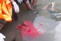 Jasad korban yang ditemukan di Sungai Martapura. (SuarIndonesia/DO)