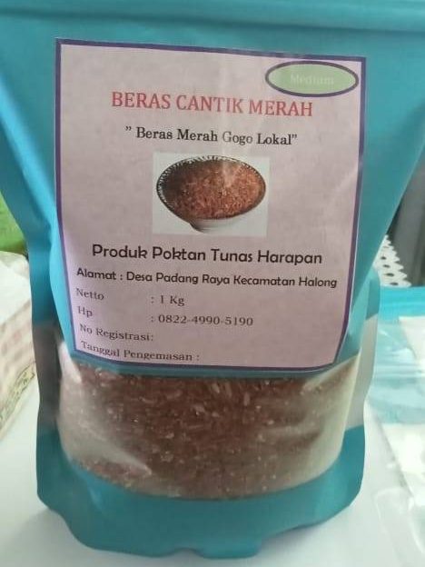 Diantara hasil produksi pertanian di Balangan, melalui inovasi Bertani Pemerintah Kabupaten Balangan berupaya meningkatkan kesejahteraan petani dan memastikan ketersediaan beras yang berkualitas di tingkat lokal. Foto : MC Kab Balangan