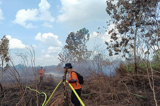 Petugas BPBD Kalbar berjibaku mamadamkan sisa lahan yang terbakar di Desa Rasau Jaya, Kecamatan Rasau Jaya, Kabupaten Kubu Raya, Kalbar. (Foto: ANTARA/Rendra Oxtora)
