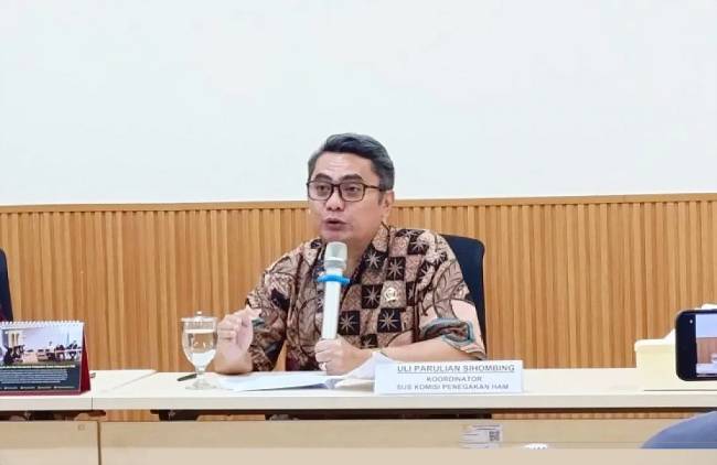 Anggota Komnas HAM Uli Parulian Sihombing. (Foto: Dok ANTARA/Agatha O Victoria)