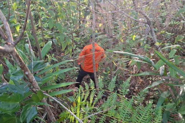 Salah seorang anggota SAR sedang mencari warga hilang di hutan kawasan IKN. (ANTARA/HO-Tim SAR Balikpapan)
