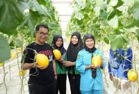 Foto Ilustrasi - Petani milenial di Kaltim menggeluti tanaman pertanian hidroponik, di Sempaja. (Foto: Dok Adpimprov Kaltim)