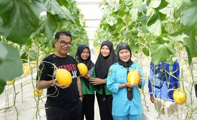Foto Ilustrasi - Petani milenial di Kaltim menggeluti tanaman pertanian hidroponik, di Sempaja. (Foto: Dok Adpimprov Kaltim)
