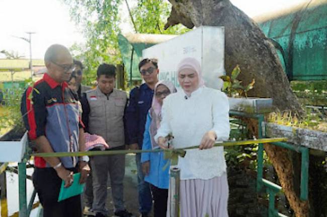 Wakil Wali Kota Banjarmasin Hj Ananda saat meresmikan pencanangan Kampung Hijau menjadi Kampung Inggris berbasis wisata, bekerjasama dengan BEM FKIK ULM Banjarmasin, Sabtu (26/7/2025). (ANTARA/HO-Humas Pemkot Banjarmasin)