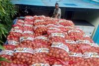 Bawang Bombai ilegal yang disita oleh Bea Cukai Kalbagbar. (ANTARA/HO-Bea Cukai Kalbarbar)