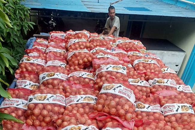 Bawang Bombai ilegal yang disita oleh Bea Cukai Kalbagbar. (ANTARA/HO-Bea Cukai Kalbarbar)