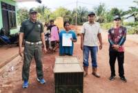 BKSDA Resort Sampit menerima penyerahan seekor Bekantan dari warga, Jumat (25/7/2025) lalu. (ANTARA/HO-BKSDA Sampit)
