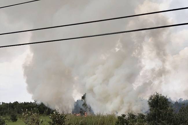 Asap membumbung saat karhutla melahap lahan di Landasan Ulin Selatan, Kota Banjarbaru, Kalimantan Selatan, Kamis (24/7/2025). (ANTARA/Dokumen Pribadi)