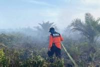 Ilustrasi BPBD Kubu Raya saat berupaya memadamkan api di Kecamatan Sungai Kakap. (Dok ANTARA/HO-BPBD Kubu Raya)
