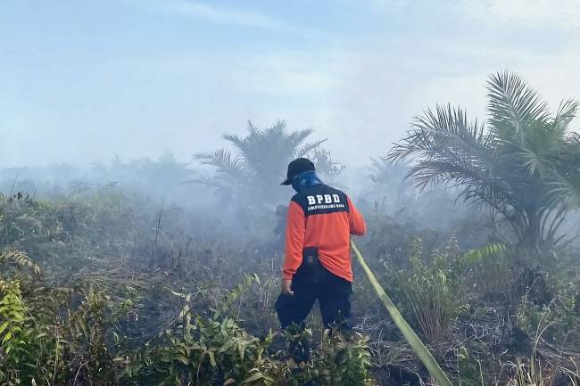 Ilustrasi BPBD Kubu Raya saat berupaya memadamkan api di Kecamatan Sungai Kakap. (Dok ANTARA/HO-BPBD Kubu Raya)
