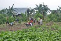 Salah satu Kawasan Lahan Transmigrasi di Kalteng. (mmc.kalteng.go.id)