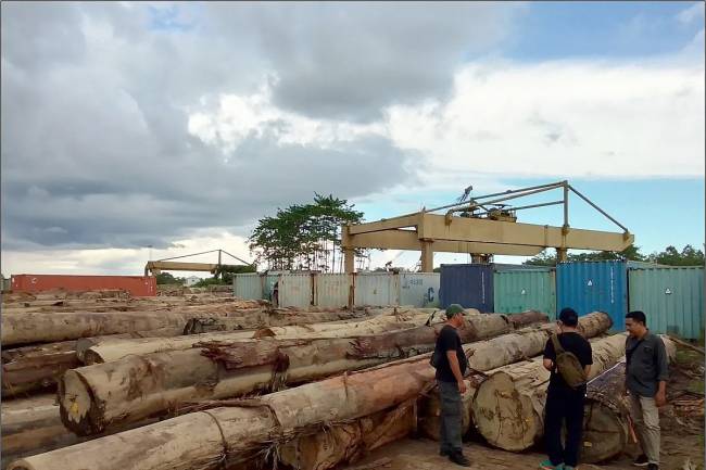 Ratusan meter kubik kayu yang tidak disertai dokumen sah diamankan dalam operasi Balai Gakkum Wilayah Kalimantan Kemenhut di Ketapang, Kalbar, pada Senin (2/6/2025). (ANTARA/HO-Kemenhut)