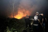 Kebakaran hutan dan lahan di Singkawang, Kalimantan Barat. (ANTARA/Narwati)