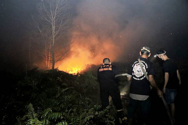 Kebakaran hutan dan lahan di Singkawang, Kalimantan Barat. (ANTARA/Narwati)