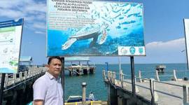 Kawasan konservasi perairan di Kepulauan Derawan, Berau, Kaltim, menjadi wilayah yang diprioritaskan untuk penerapan pengawasan dengan radar canggih. (ANTARA/HO-DKP Kaltim)