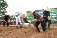 Tanam Jagung Serentak Kuartal III di Balangan. foto: MC Balangan